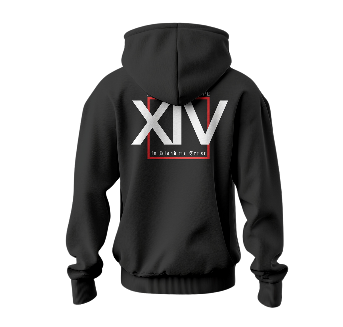 DEFEND EUROPE XIV  - Hoodie
